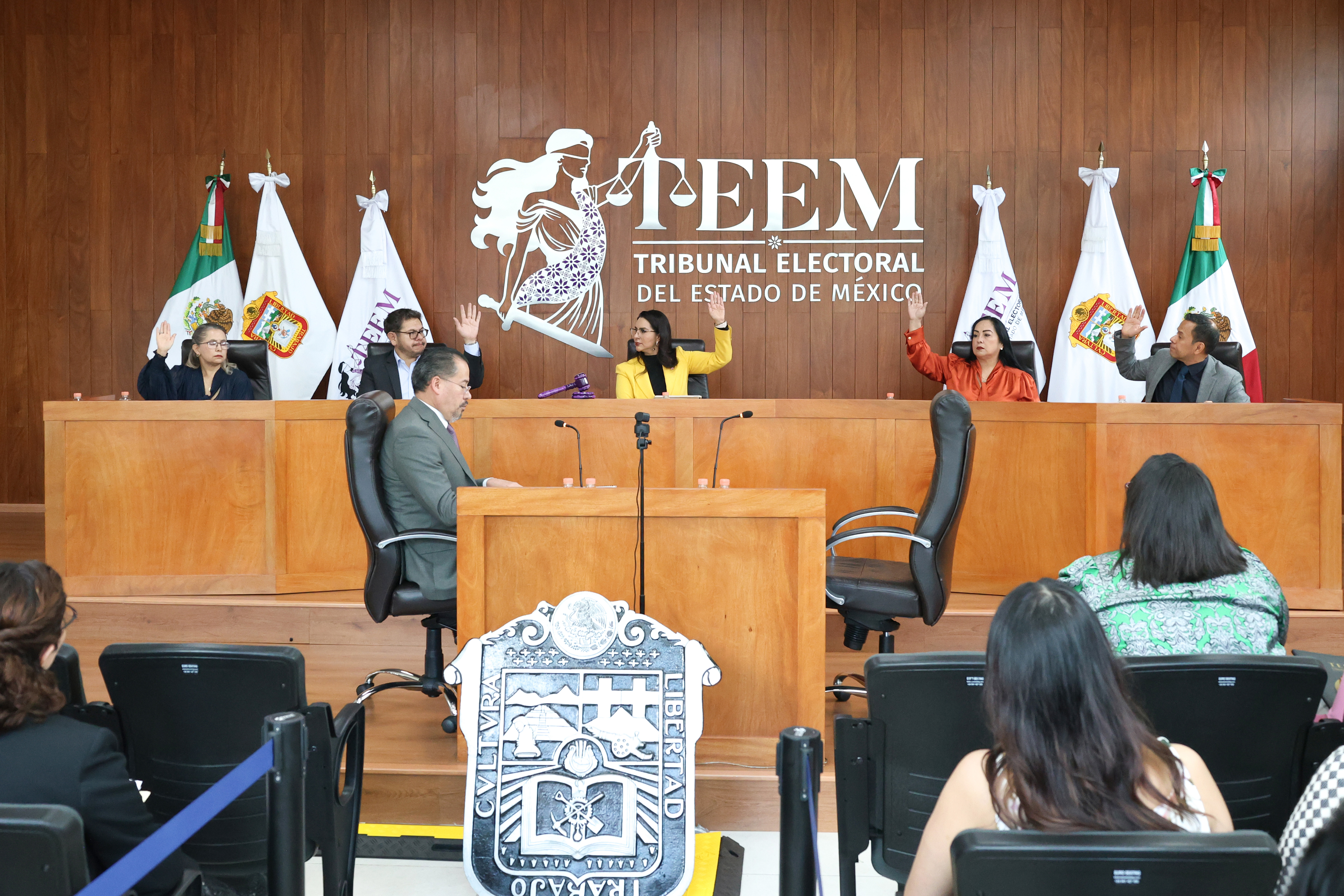 TEEM DECLARA INEXISTENTES ACTOS ANTICIPADOS DE PRECAMPAÑA Y CAMPAÑA